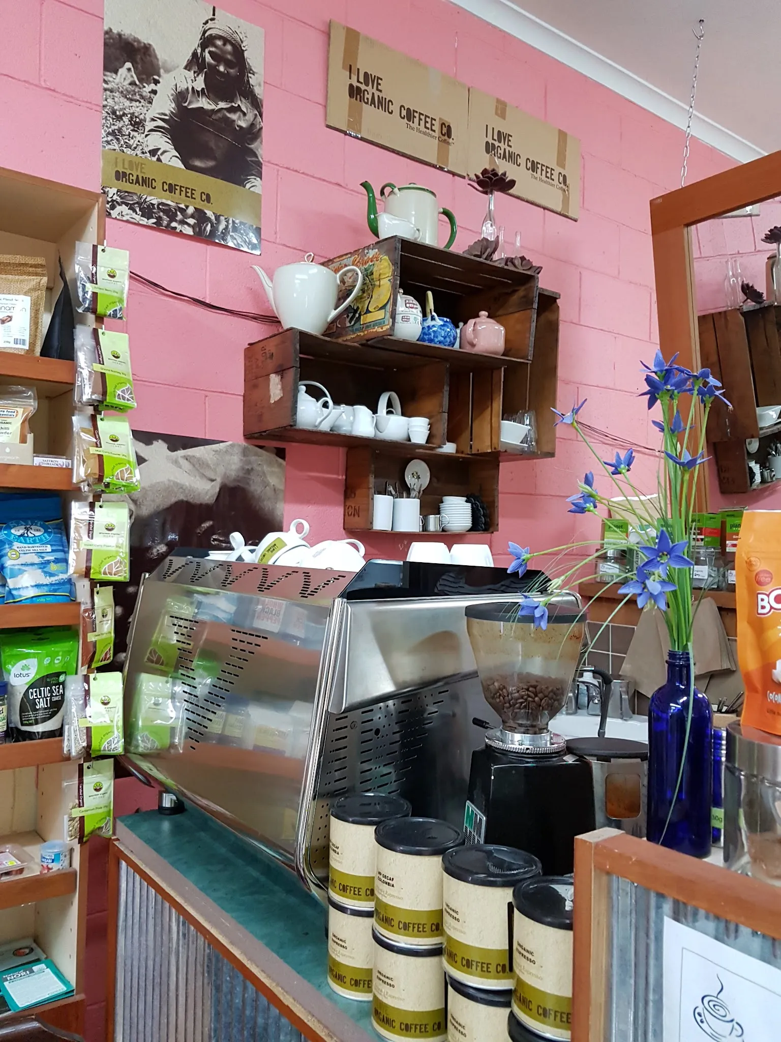 Natural Balance in-store coffee and beverages bar with espresso machine, organic coffee packages and blue iris flowers